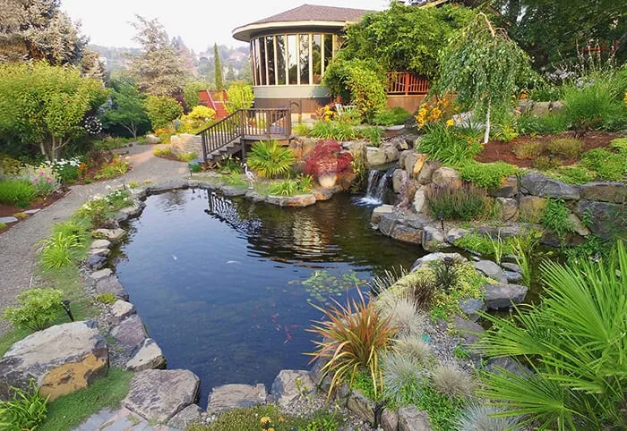 Garden with a rock-edged pond and a small gazebo