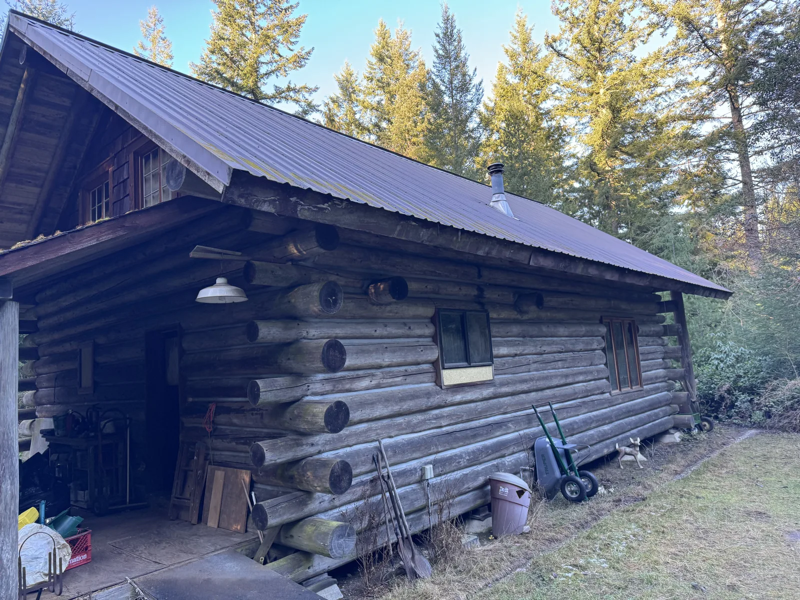 Older log cabin with a dark metal roof among evergreens