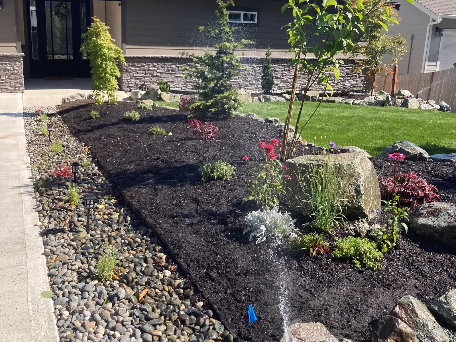 Planting bed edged in river rock with boulders and new shrubs beside a concrete walk